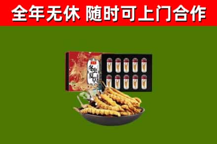 绥阳烟酒回收冬虫夏草礼盒.jpg
